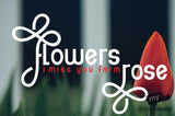 Fonts that make a statement