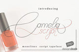 Adorably Dainty Fonts
