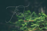 Adorably Dainty Fonts