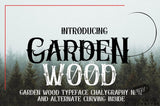Fonts that make a statement