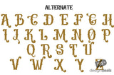 Fonts that make a statement