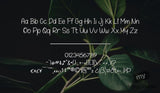Fonts that make a statement
