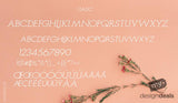 TEST BUNDLE