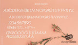 TEST BUNDLE