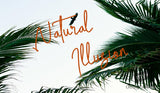 Adorably Dainty Fonts