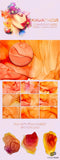 Beautiful Background Bonanza - Just $100