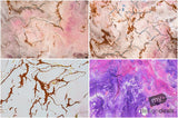 Beautiful Background Bonanza - Just $100