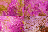 Beautiful Background Bonanza - Just $100