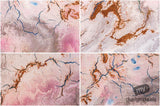Beautiful Background Bonanza - Just $100