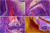Beautiful Background Bonanza - Just $100