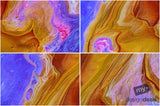 Beautiful Background Bonanza - Just $100
