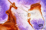 Beautiful Background Bonanza - Just $100