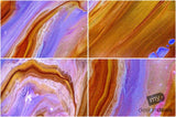 Beautiful Background Bonanza - Just $100