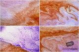 Beautiful Background Bonanza - Just $100