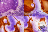 Beautiful Background Bonanza - Just $100