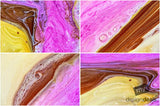 Beautiful Background Bonanza - Just $100