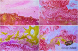 Beautiful Background Bonanza - Just $100