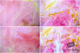 Beautiful Background Bonanza - Just $100
