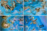 Beautiful Background Bonanza - Just $100