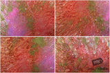 Beautiful Background Bonanza - Just $100