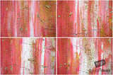 Beautiful Background Bonanza - Just $100