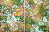 Beautiful Background Bonanza - Just $100