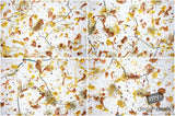 Beautiful Background Bonanza - Just $100