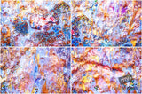 Beautiful Background Bonanza - Just $100