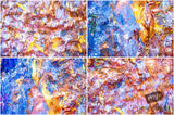 Beautiful Background Bonanza - Just $100