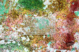 Beautiful Background Bonanza - Just $100