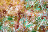 Beautiful Background Bonanza - Just $100