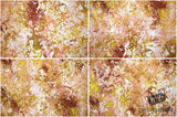 Beautiful Background Bonanza - Just $100