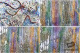 Beautiful Background Bonanza - Just $100