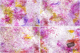 Beautiful Background Bonanza - Just $100