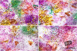 Beautiful Background Bonanza - Just $100