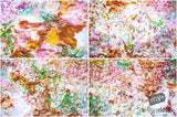 Beautiful Background Bonanza - Just $100