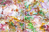 Beautiful Background Bonanza - Just $100