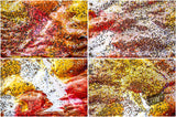 Beautiful Background Bonanza - Just $100